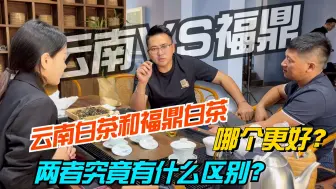 Скачать видео: 云南白茶和福鼎白茶哪个更好？两者究竟有什么区别？对比见真章！