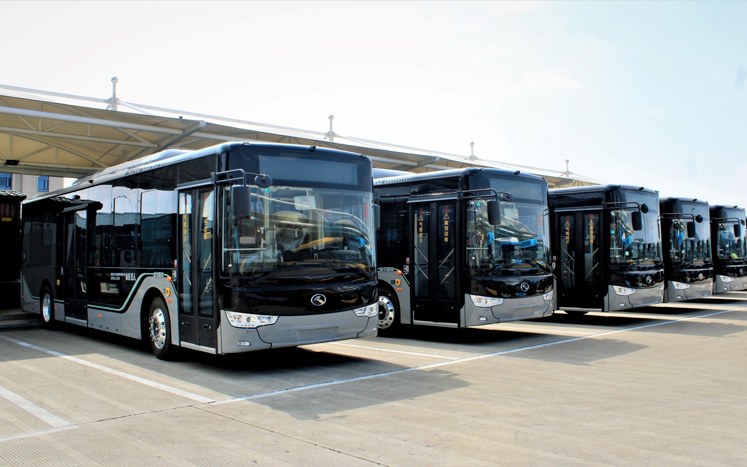 【舟山公交新车季】舟山公交2020首批新车xmq6106agbevl31速报_哔哩