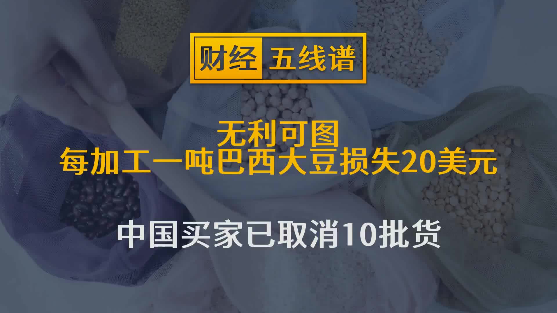 [图]无利可图！每加工一吨巴西大豆损失20美元，中国买家已取消10批货