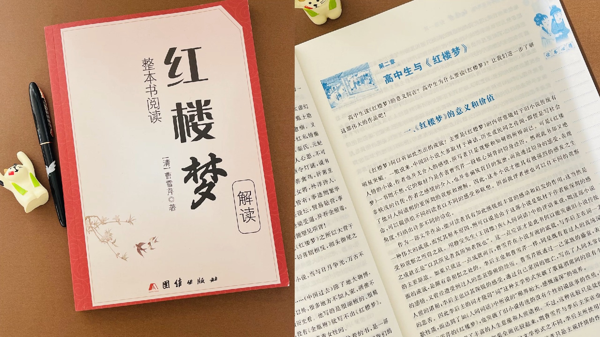 探索文学瑰宝,助力高中征途 — 《整本书阅读红楼梦解读》哔哩哔哩bilibili