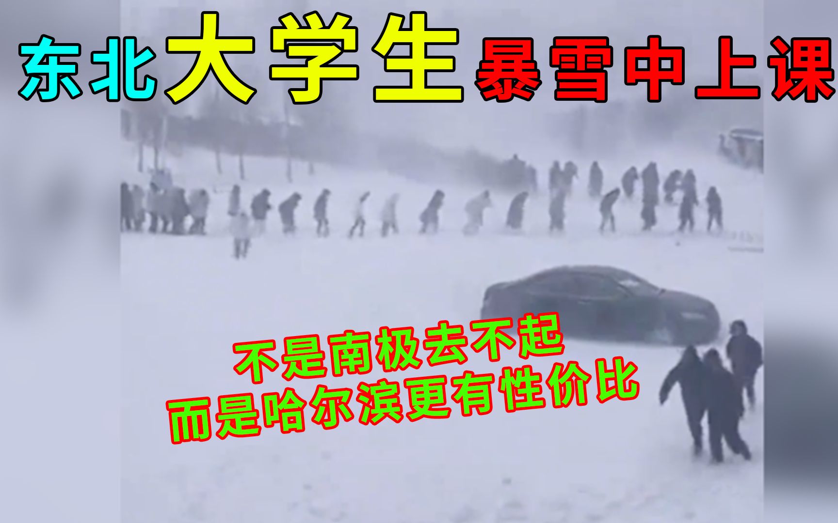 哈尔滨大学生秒变南极科考队:在东北打雪仗完全就是个人战哔哩哔哩bilibili