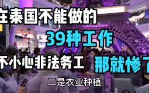 Download Video: 去泰国搬砖养家，结果却进了局子，一定要知道在泰国不能做的工作