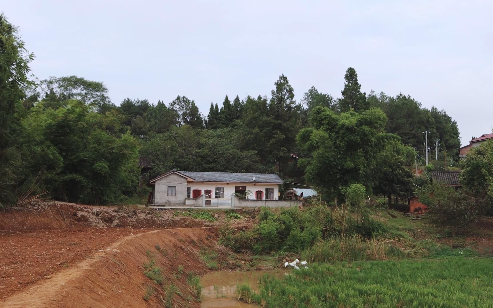 荒废已经20年的农村破旧老土房,两兄弟如今回家,又该怎样改造?