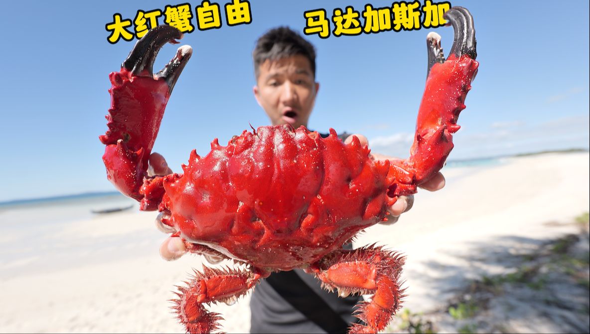 《马达加斯加》第2集:2天1夜探索偏僻海岛,这里不仅龙虾多,大红蟹更多