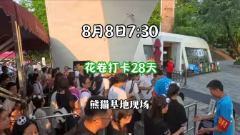 Descargar video: 小助理花卷赛今天战绩很好，就是忘记开机了，多亏胖朵朵一路保驾护航啊