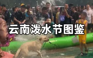 Скачать видео: 云南泼水节图鉴