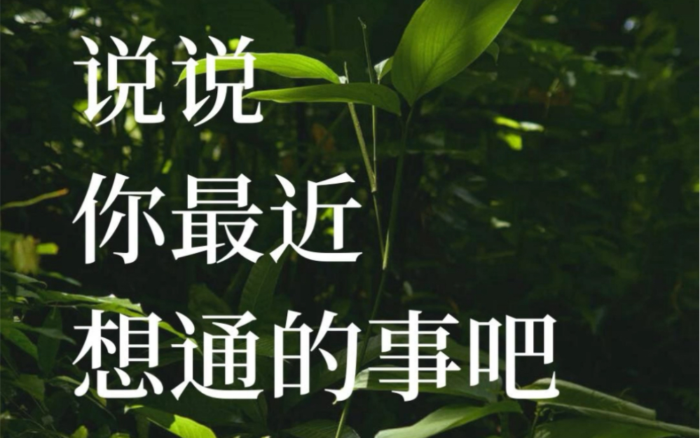 书法声控丨说说你最了最近想通的一件事吧