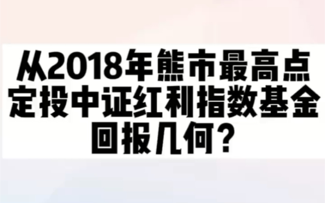 从2018年熊市最高点开始定投中证红利指数基金,回报几何?哔哩哔哩bilibili