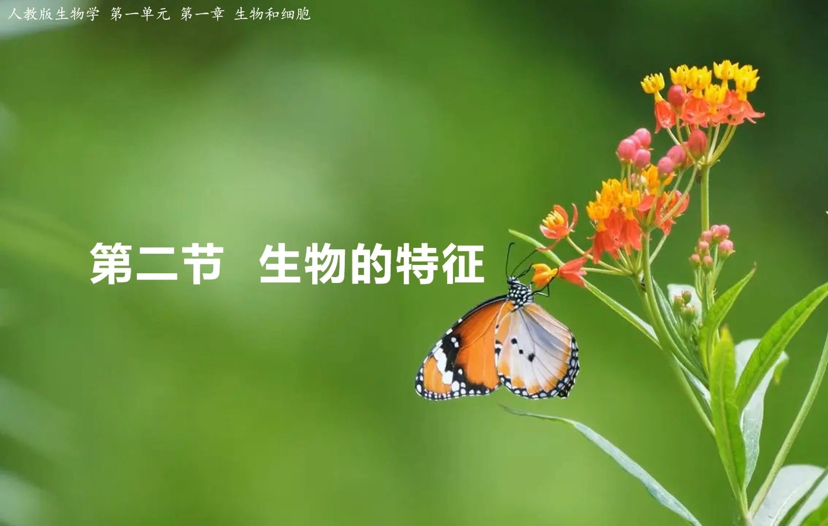 1.1.2 生物的特征哔哩哔哩bilibili