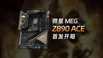 Download Video: 【主板】新品：微星 MSI MEG Z890 ACE 战神 主板开箱简评