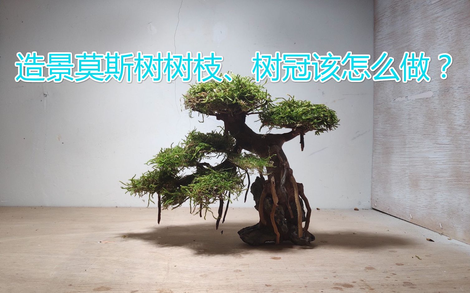 活动作品造景莫斯树树枝和树冠该怎么做