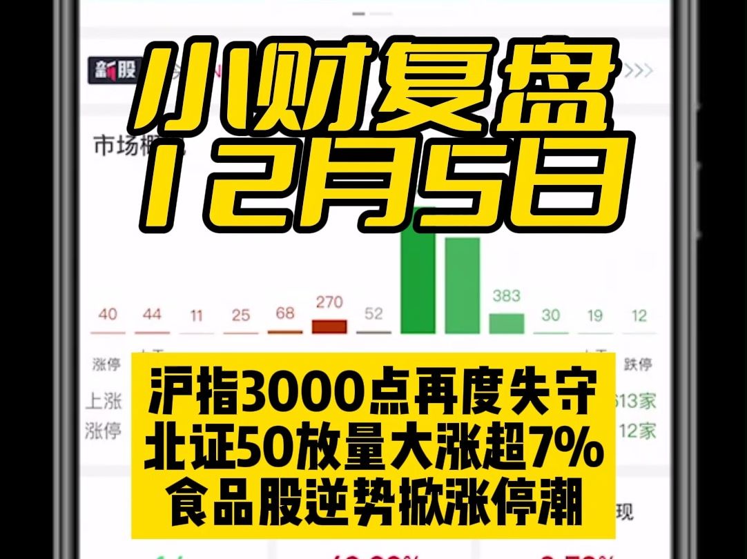 【每天五分钟,复盘更轻松】沪指3000点再度失守,北证50放量大涨超7%,食品股逆势掀涨停潮!《小财复盘》带你快速解读!哔哩哔哩bilibili