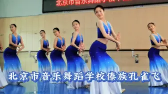 Télécharger la video: 北京市音乐舞蹈学校民族民间舞期末考试！初二傣族孔雀飞组合