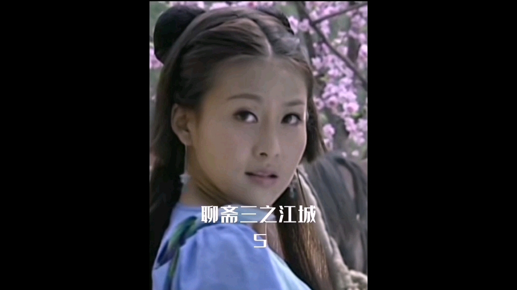聊斋三之江城