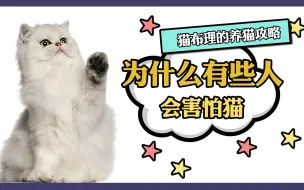 为什么会有人害怕猫呢？