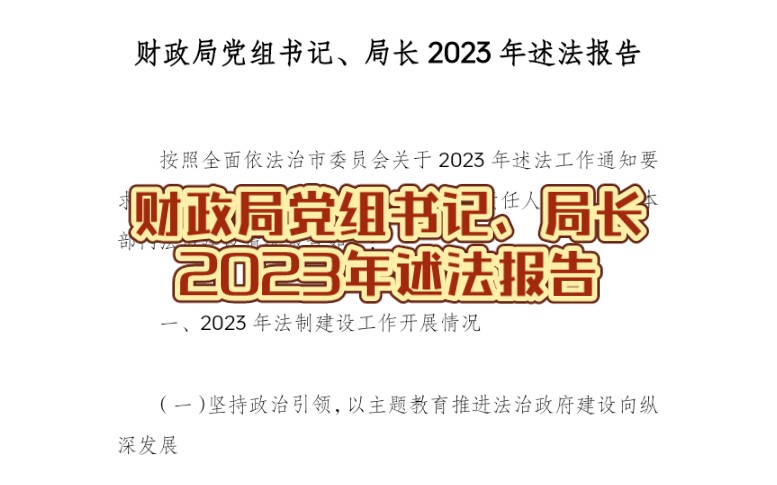 财政局党组书记、局长2023年述法报告哔哩哔哩bilibili