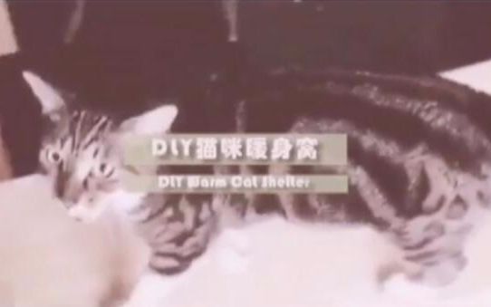 DIY猫窝教程超简单 赶快学起来吧!哔哩哔哩bilibili