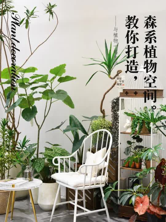 [图]打造室内植物角|与植物一起生活～