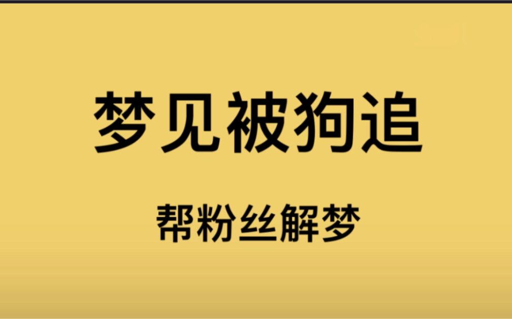 【解梦】粉丝梦见和男男,梦见被狗追哔哩哔哩bilibili