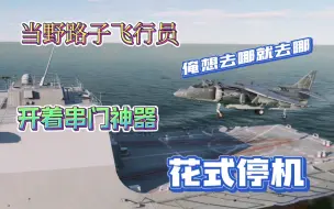 Download Video: 【DCS】野路子飞行员的“花式停机”