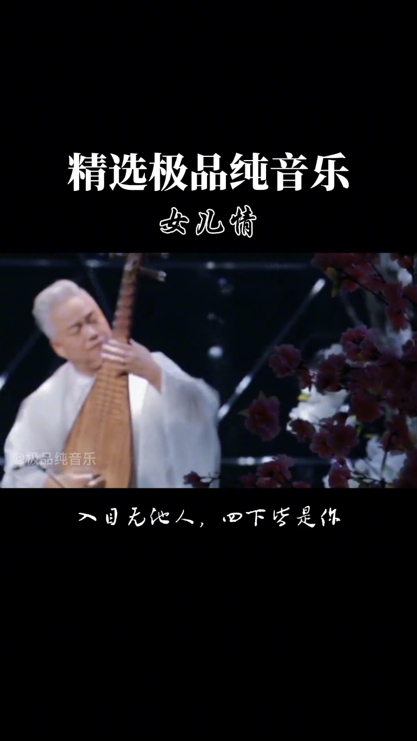 琵琶 #方锦龙 #女儿情 #西游记 #纯音乐 姆