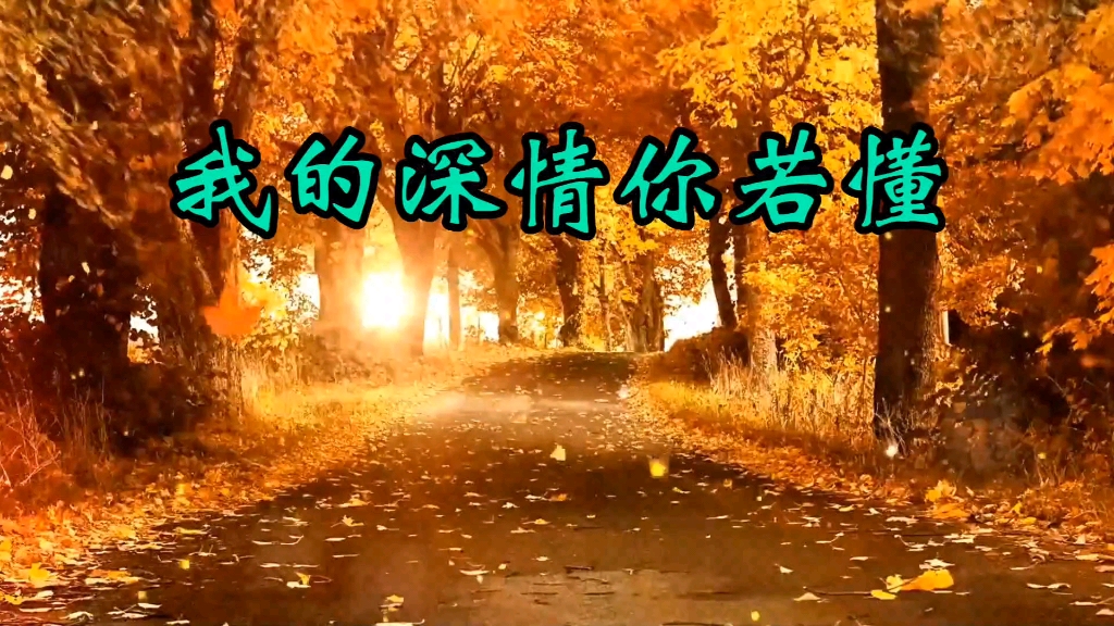 [图]王韵《我的情深你若懂》红尘情歌入骨三分韵味十足可盐可甜好听