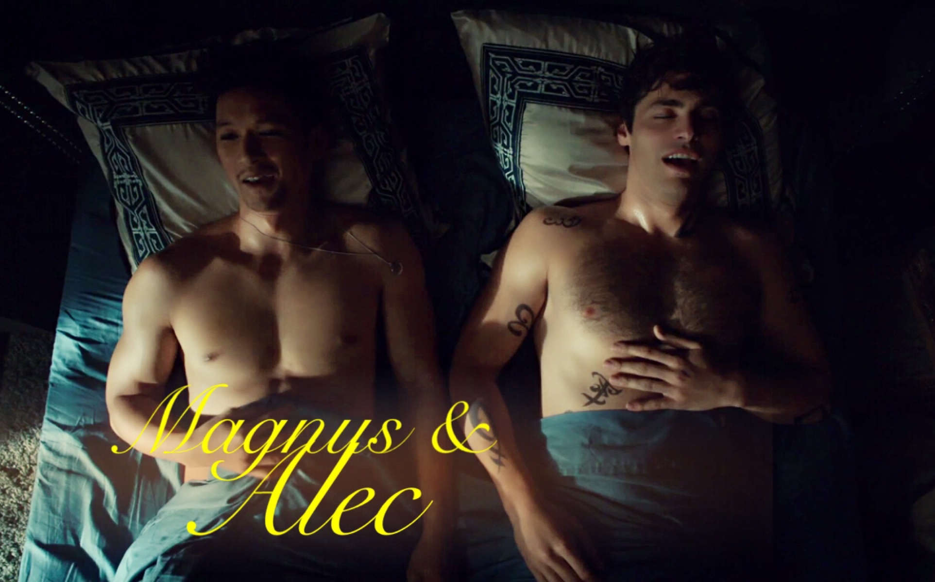 【美剧/暗影猎人】暗影猎人第三季第十二集 Magnus & Alec 剪辑b哔哩哔哩bilibili