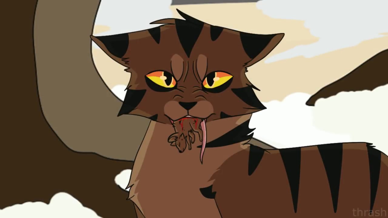 【猫武士】虎星-deathbed