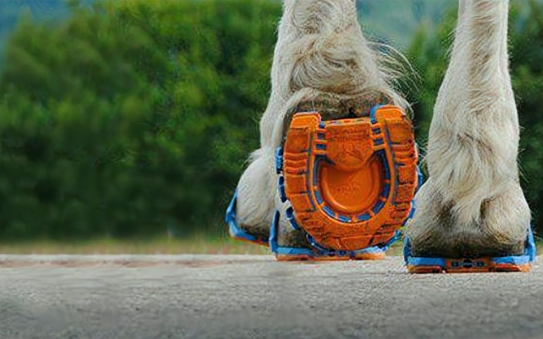 国外小哥给马穿上跑鞋,替换了存在千年的马蹄铁,马儿穿上健步如飞