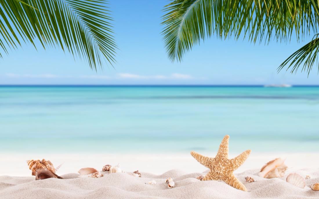 【fl studio】《summer heaven》tropical house风格电子音乐 海滩边