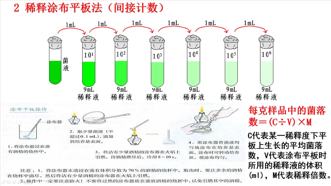 【一本正经讲生物】高二生物选修一2.2土壤中分解尿素的细菌的分离与计数哔哩哔哩bilibili