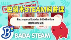 [图]Badanamu STEAM Lesson.巴塔木科普动画片.Endangered Species and Extinction.濒危物种与灭绝