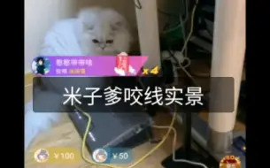 Tải video: 花少北给煎蛋转3千万！道歉！