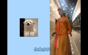 Download Video: 【陈丽君】刷到熊老师发的这个视频哈哈哈哈哈 因为一句：“你俩谁胖”奔前奔后的君君