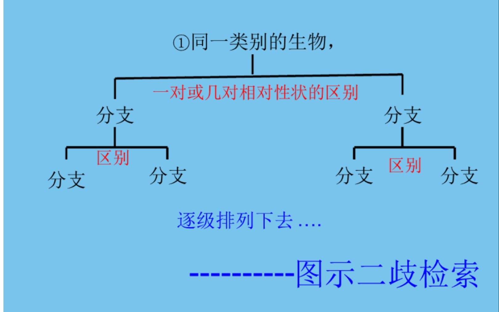 植物学/动物学二岐分类检索表编制哔哩哔哩bilibili