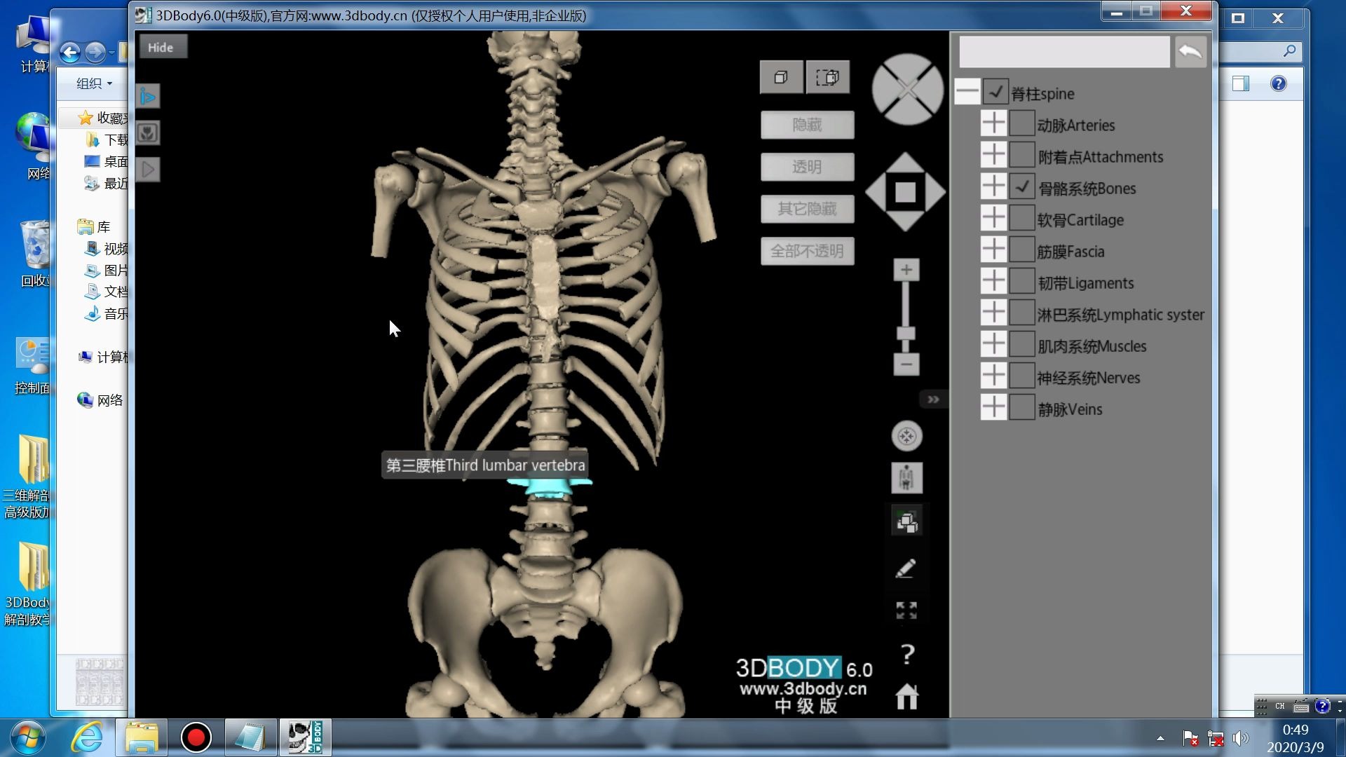 3dbody解剖套餐图片