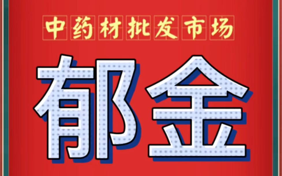 中药材批发市场郁金价格行情哔哩哔哩bilibili