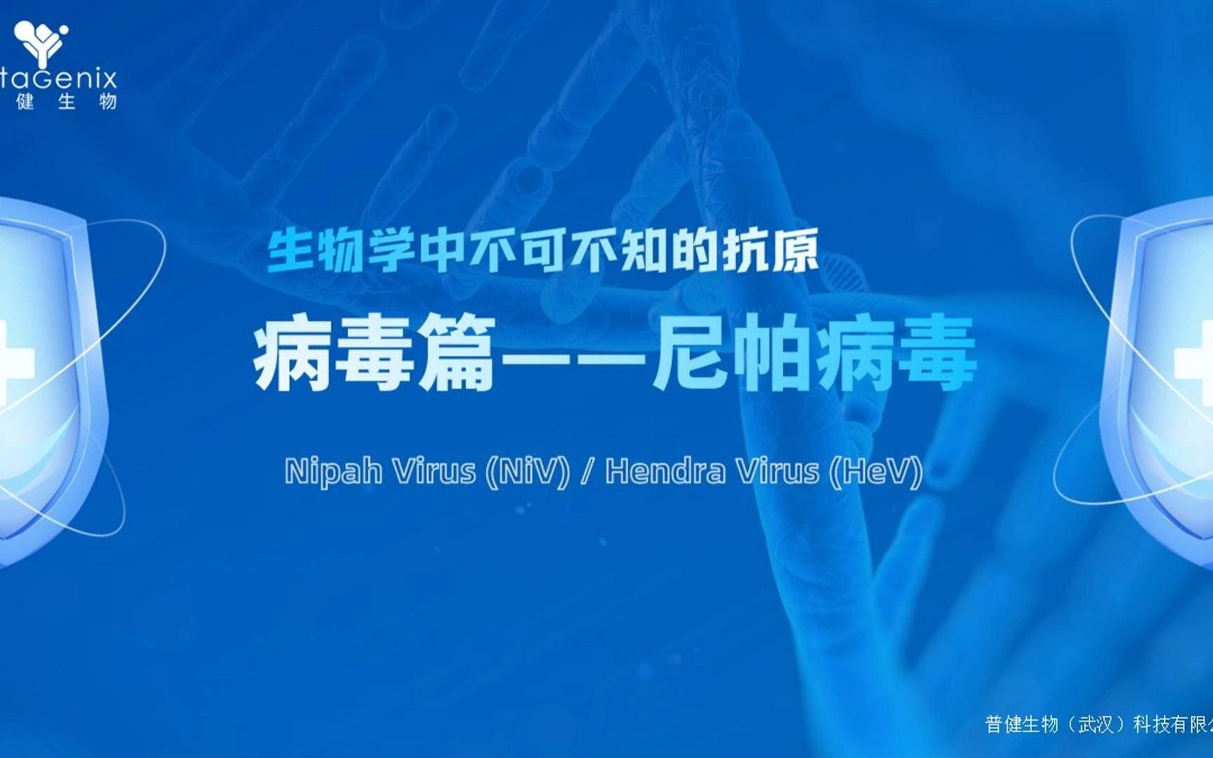 生物學中不可不知的抗原——尼帕病毒