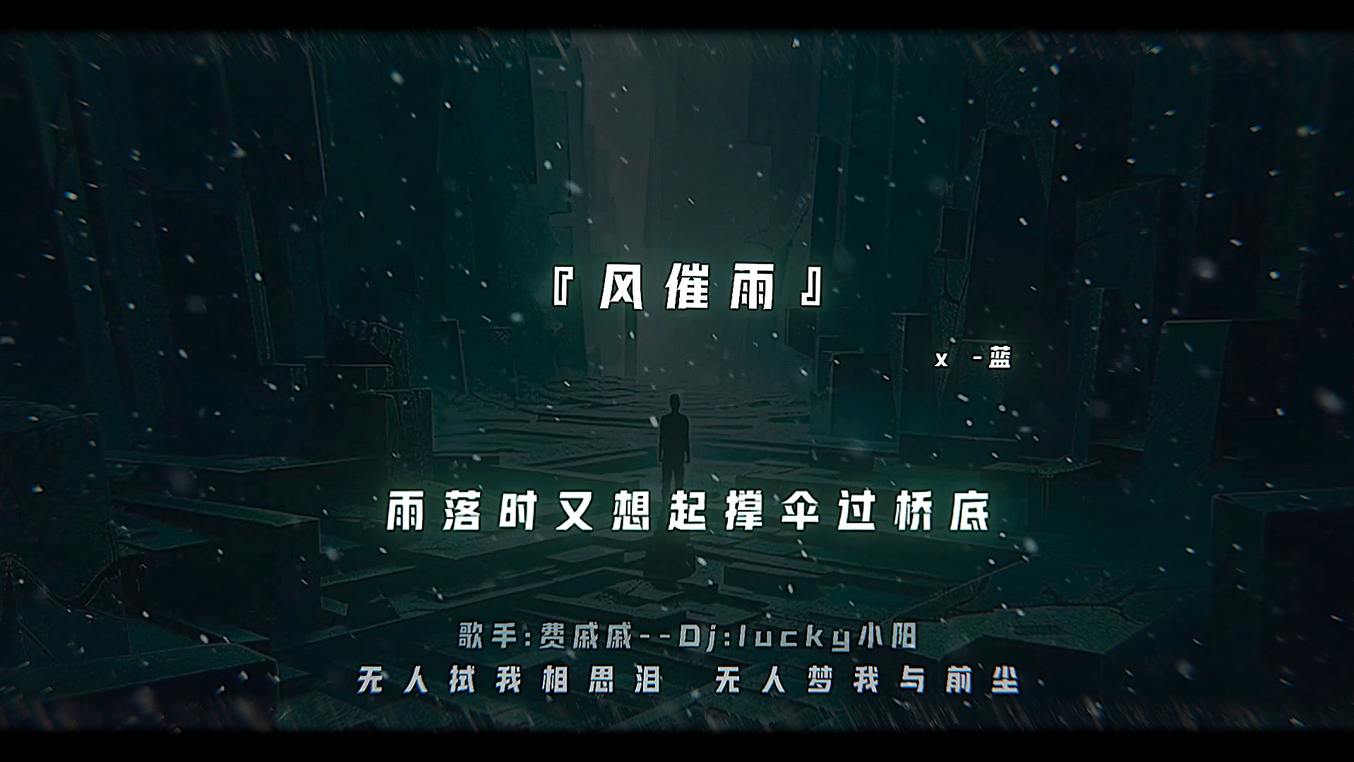 无人拭我相思泪 无人梦我与前尘#风催雨dj #降调哔哩哔哩bilibili