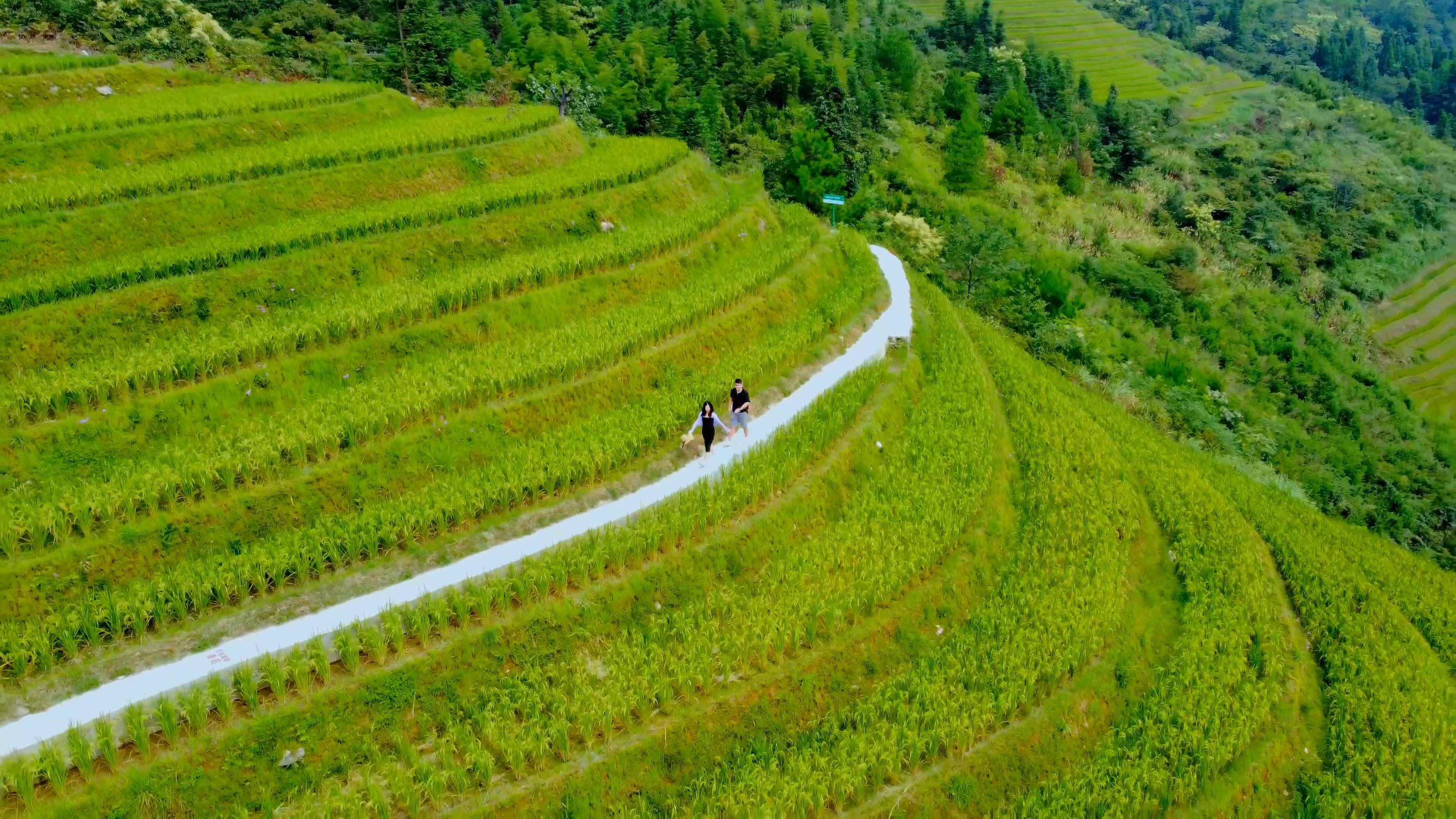 龙脊梯田最美步行道_哔哩哔哩_bilibili