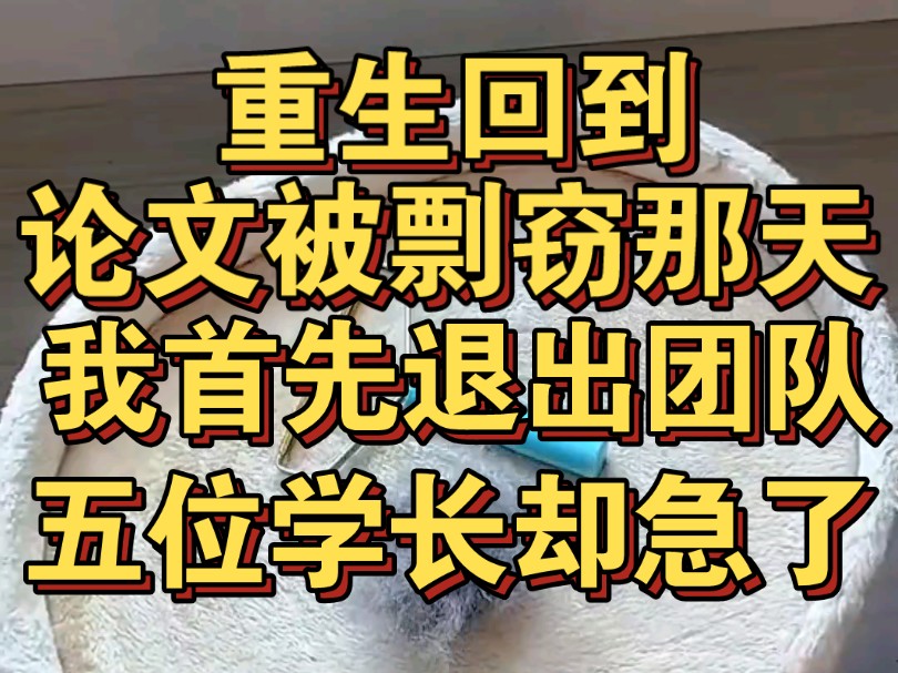 重回论文被剽窃当天,我首先退出团队,五位天才学长却急了哔哩哔哩bilibili