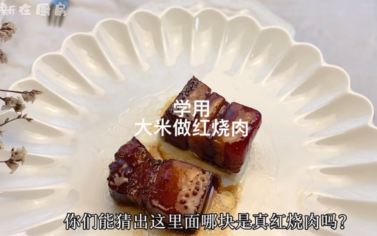 [图]挑战用大米做红烧肉，你们猜我最后挑战成功没有？