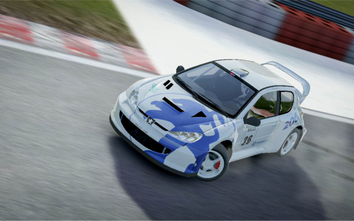 阴间周赛小狮子标致206拉力赛车阿林斯反向周赛路线分享arinesring