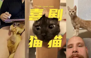 Tải video: 欢乐喜剧猫猫 Pt.67