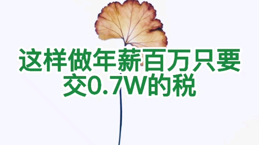 年薪百万这样做可以少交税哔哩哔哩bilibili