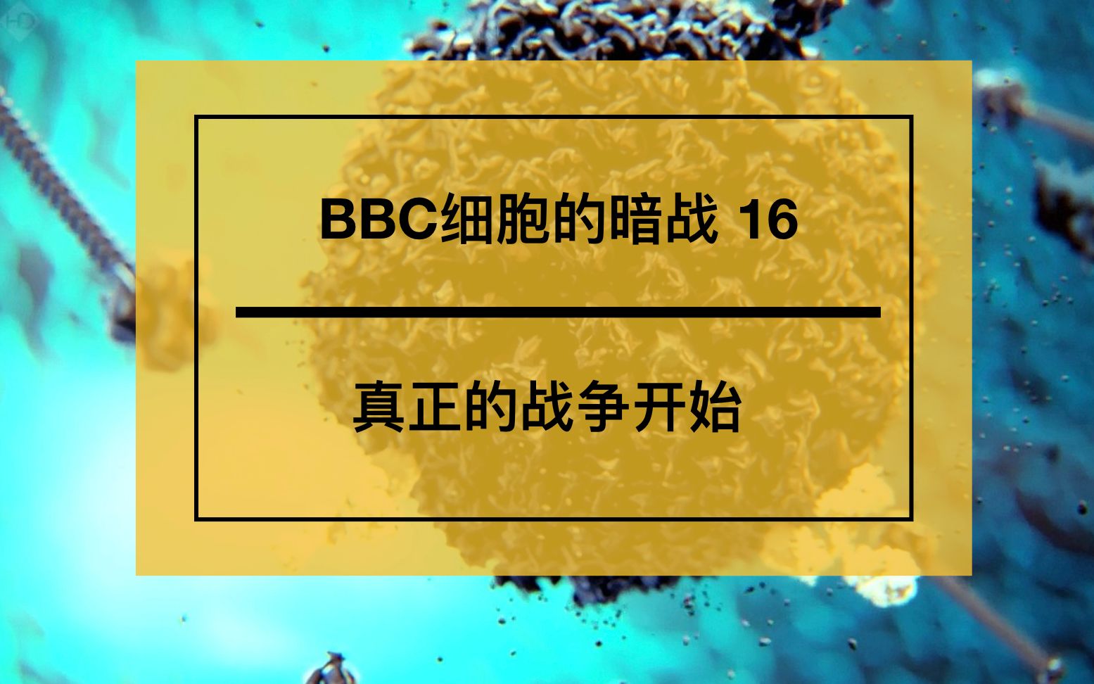 [图]BBC人体奥妙之细胞的暗战16-真正的战争开始