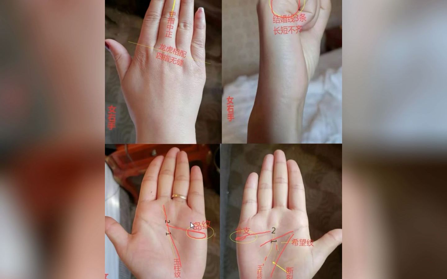 手相生命线的希望纹百折不挠能尽力克服困难