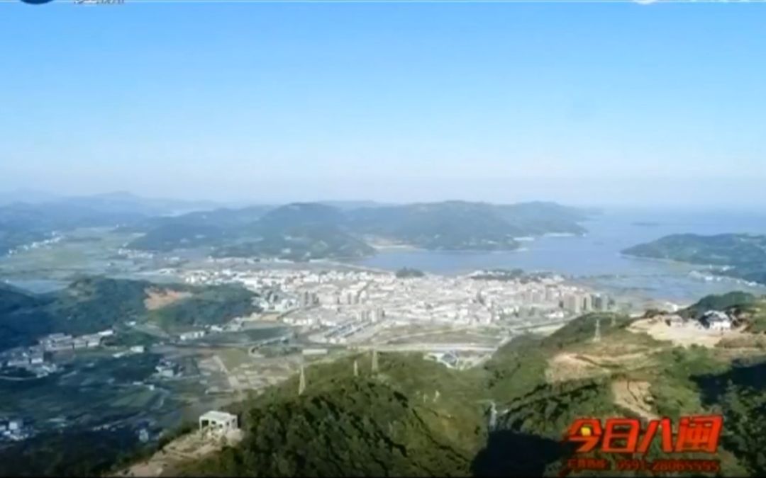 福建电视台经济频道《今日八闽》福鼎白茶专题报道哔哩哔哩bilibili