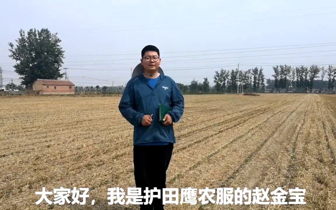 山东省麦后直播早熟棉轻简栽培机械播种,实现轻简化作业哔哩哔哩bilibili