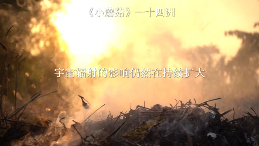 "不要温和的走进那个良夜"——《小蘑菇》一十四洲